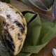 Blueberry Steamed Pudding