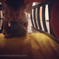 Wordless Wednesday