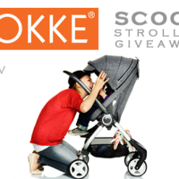 Stokke