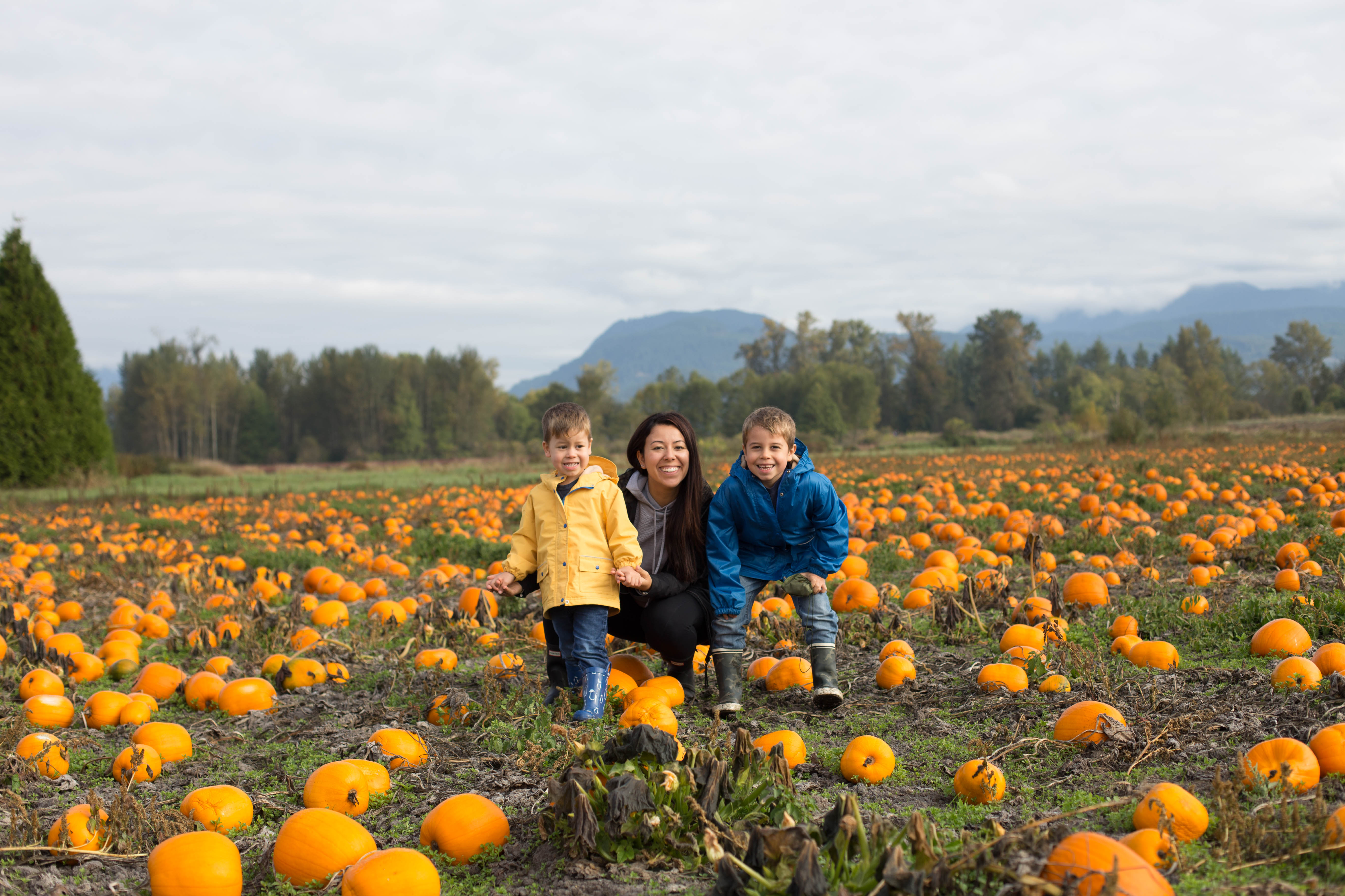Pumpkin Patch & Apple Picking Areas in Metro Vancouver