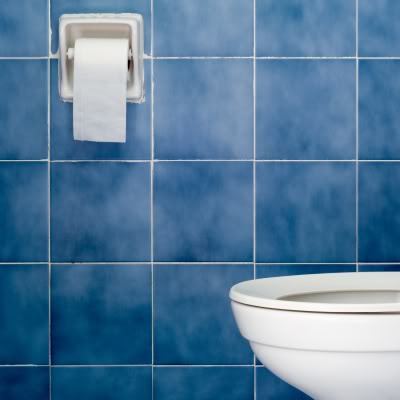Make you Own Non-Toxic Toilet Bowl Cleaner