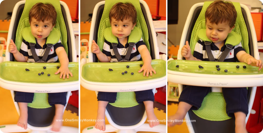 Loop High Chair