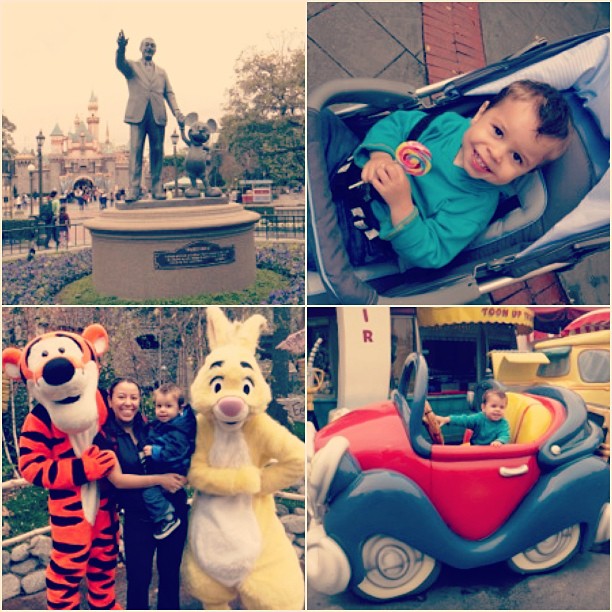 Disneyland 2013