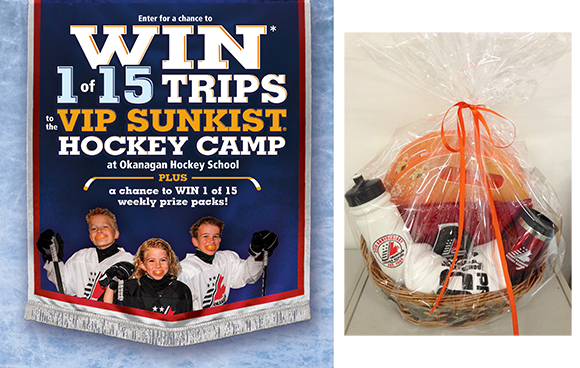 Win a Hockey Rink Survival Kit