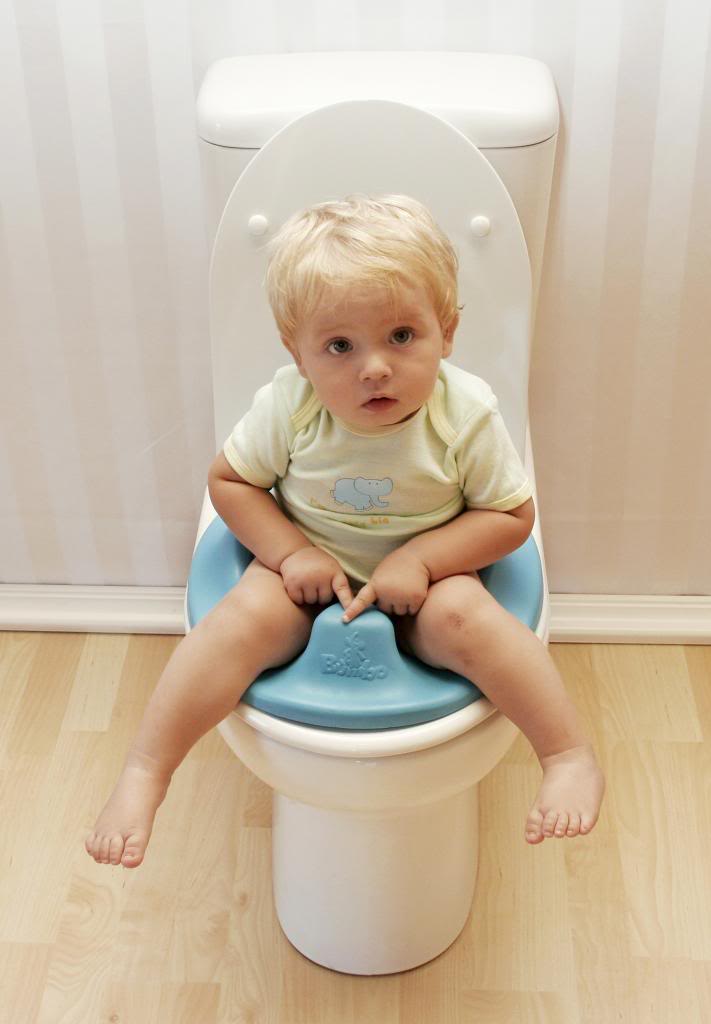 bumbo toilet seat