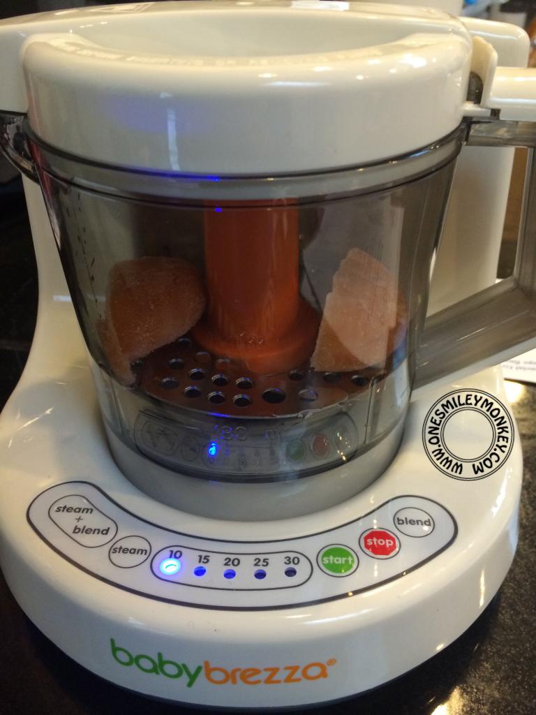 Review: Baby Brezza One Step Baby Food Maker