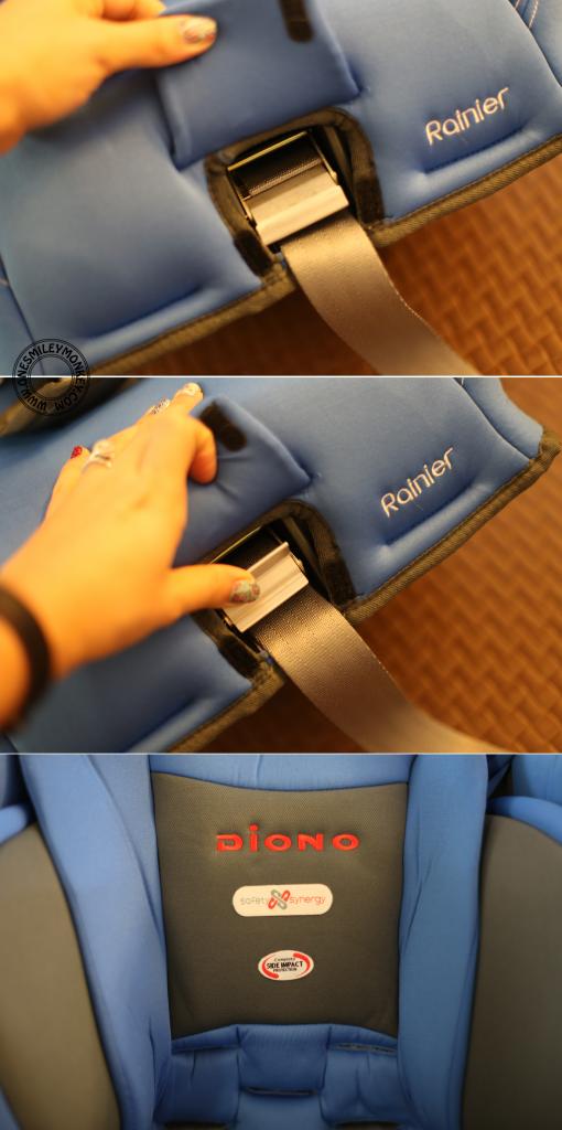 Diono Rainier Convertible + Booster Car Seat