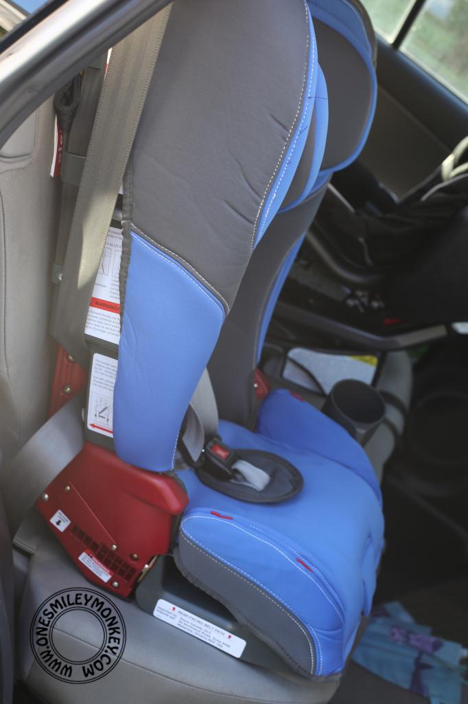 Diono Rainier Convertible + Booster Car Seat