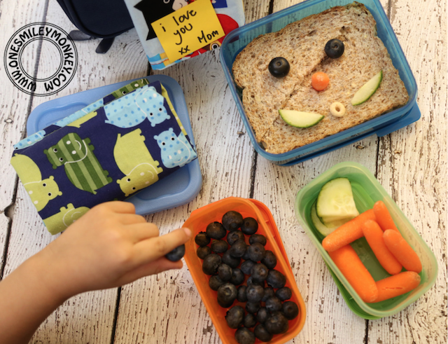 Picking the Best Lunch and Snack Containers for School
