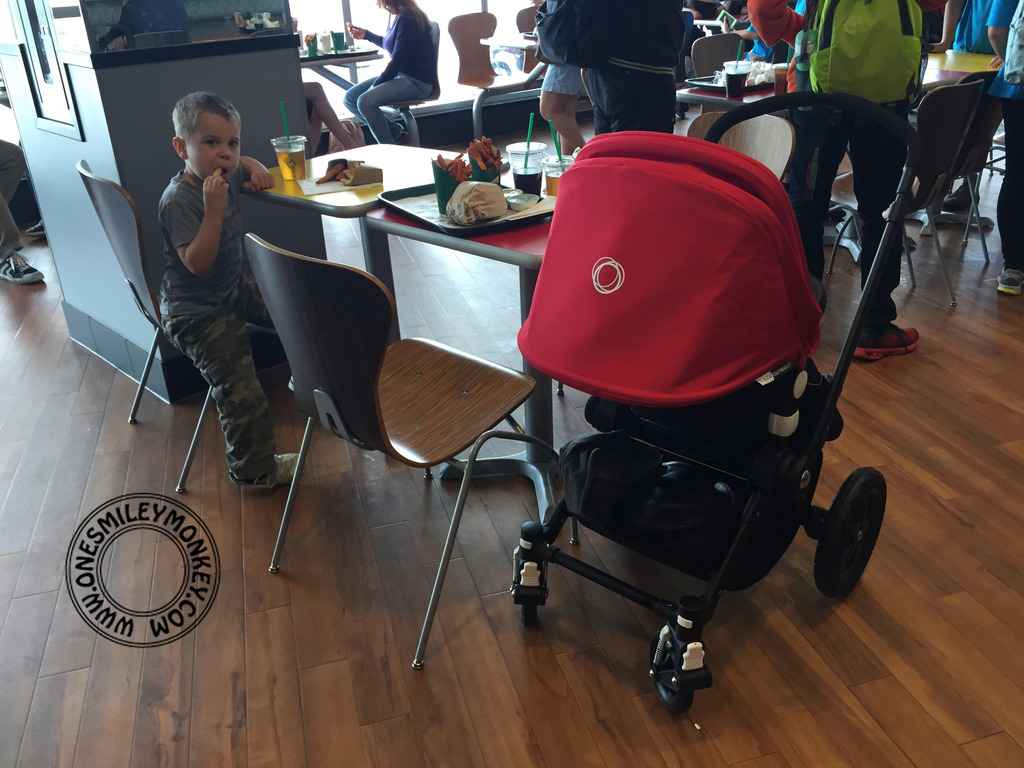 Bugaboo Cameleon 3 Stroller