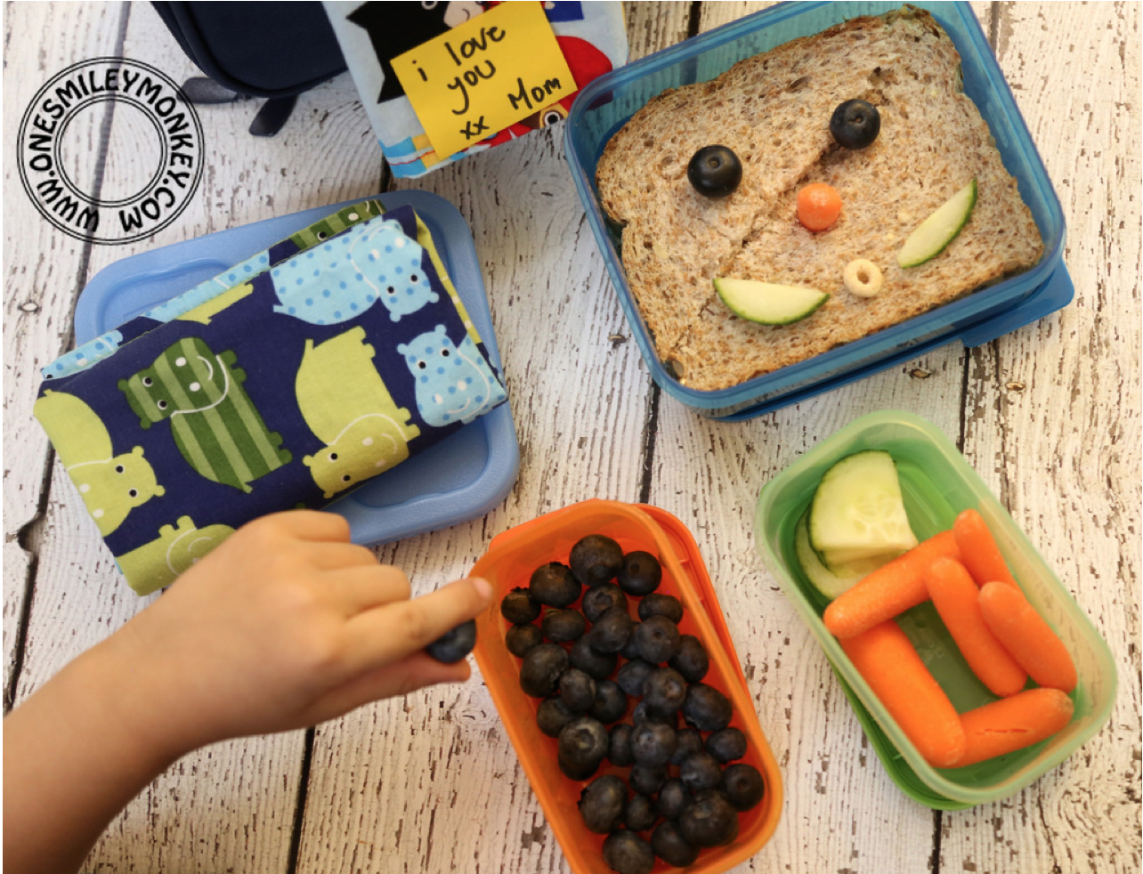 Picking the Best Lunch and Snack Containers for School