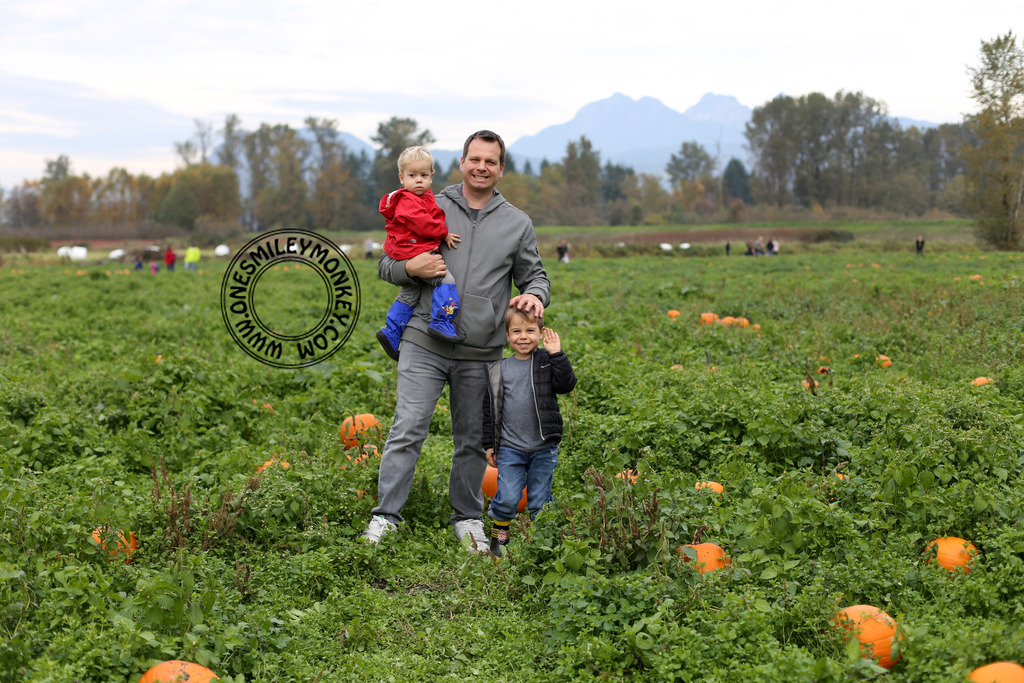 Laity pumpkin patch