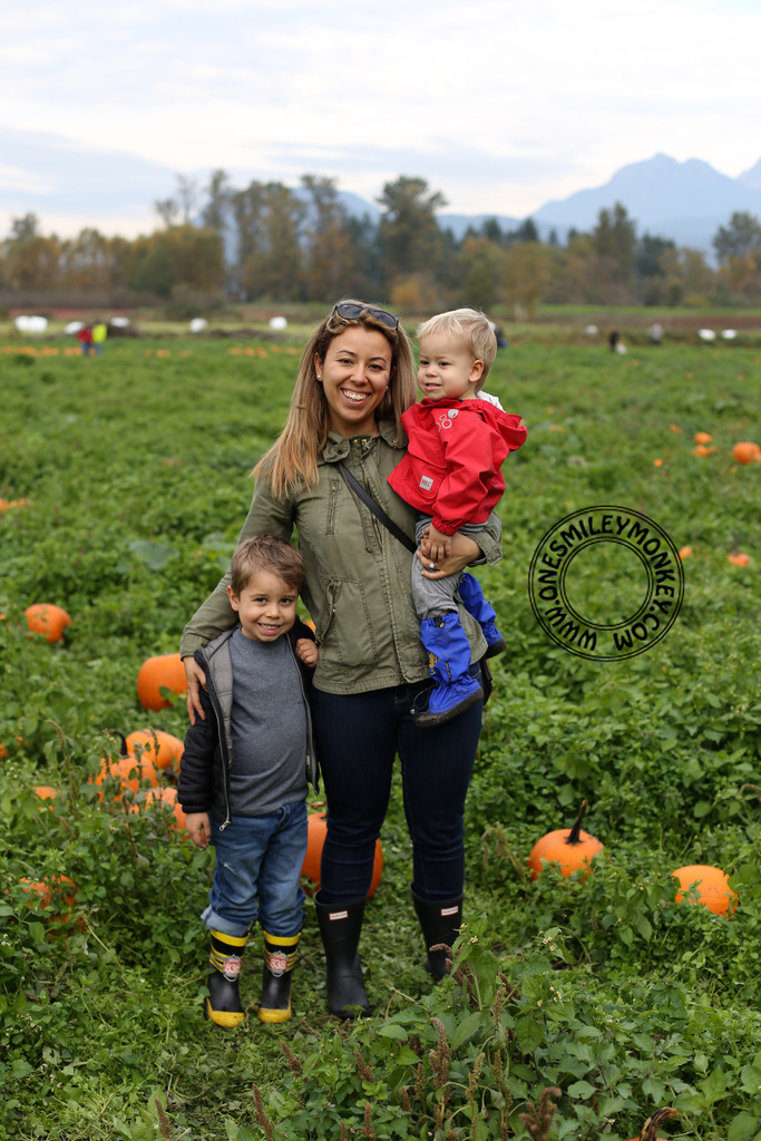 Laity pumpkin patch