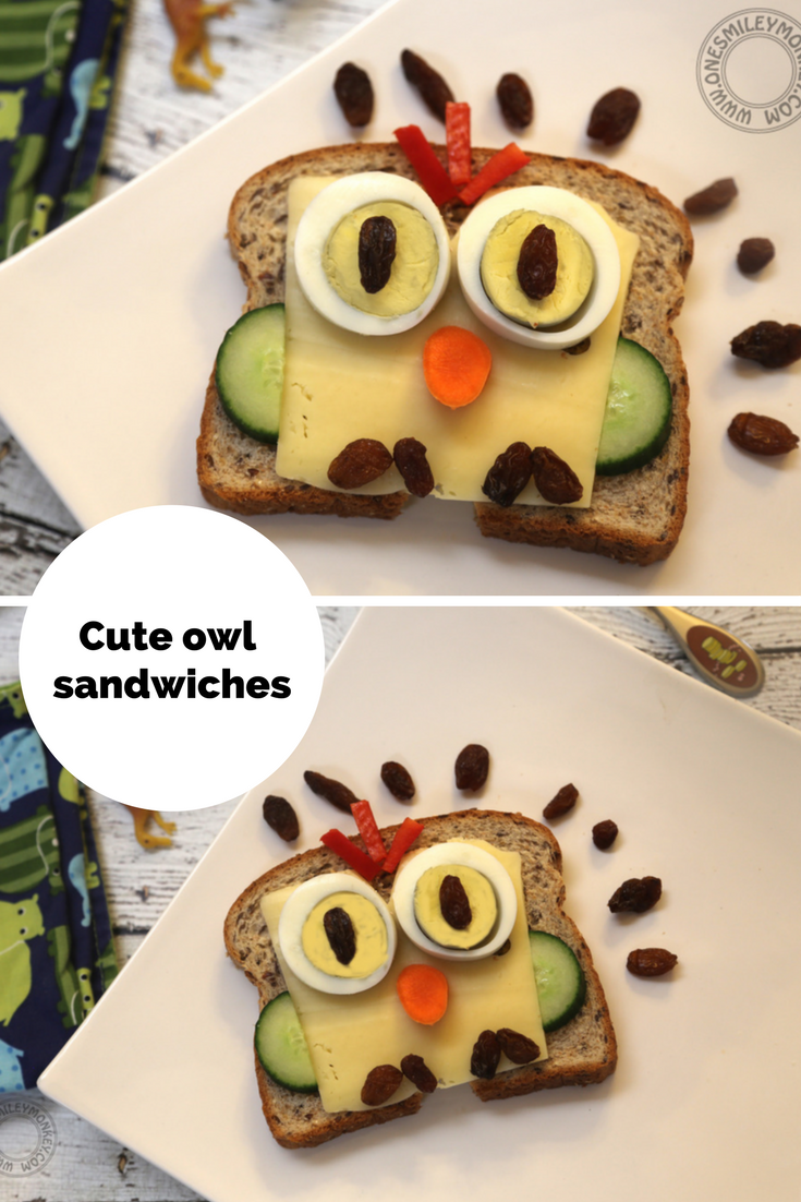 cute owl sandwiches for kids