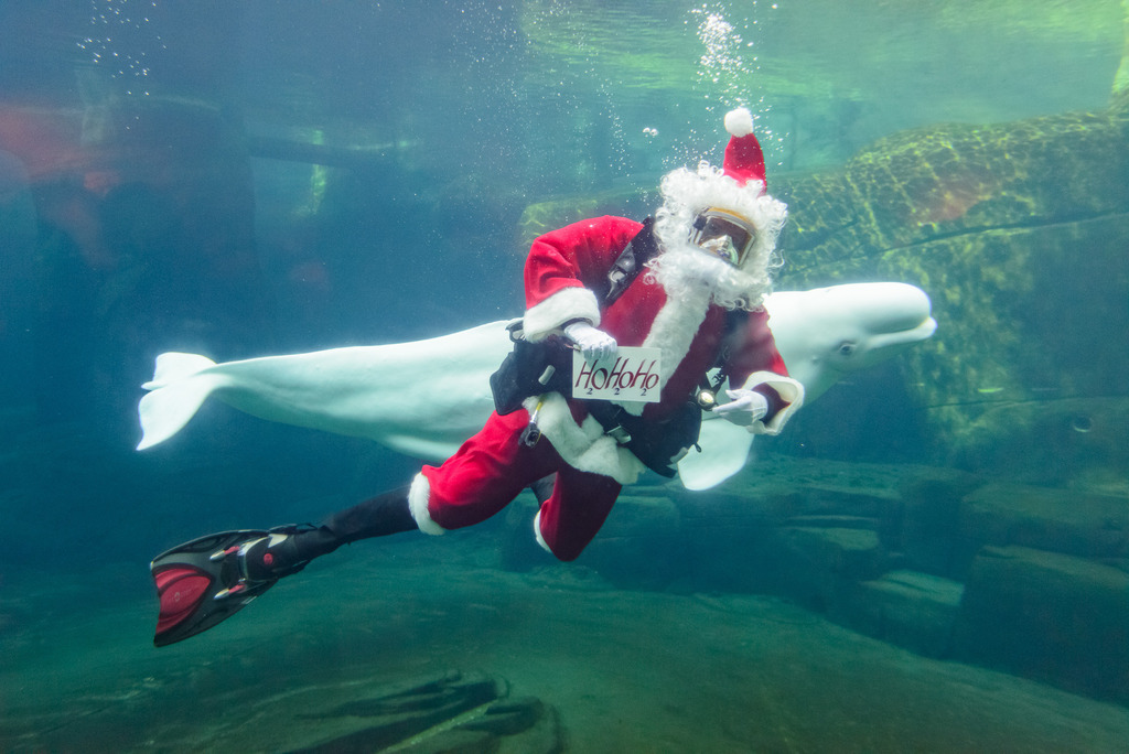 scuba santa claus