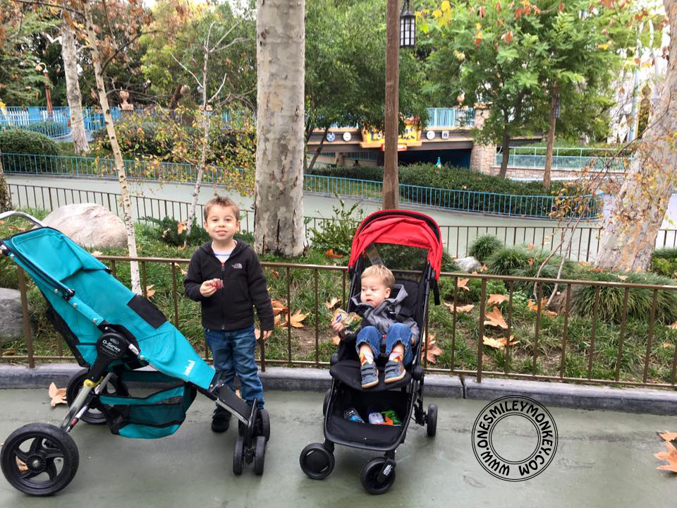 Getting The Most Out of Your Disneyland Visit with Children Ages 5 and Under!