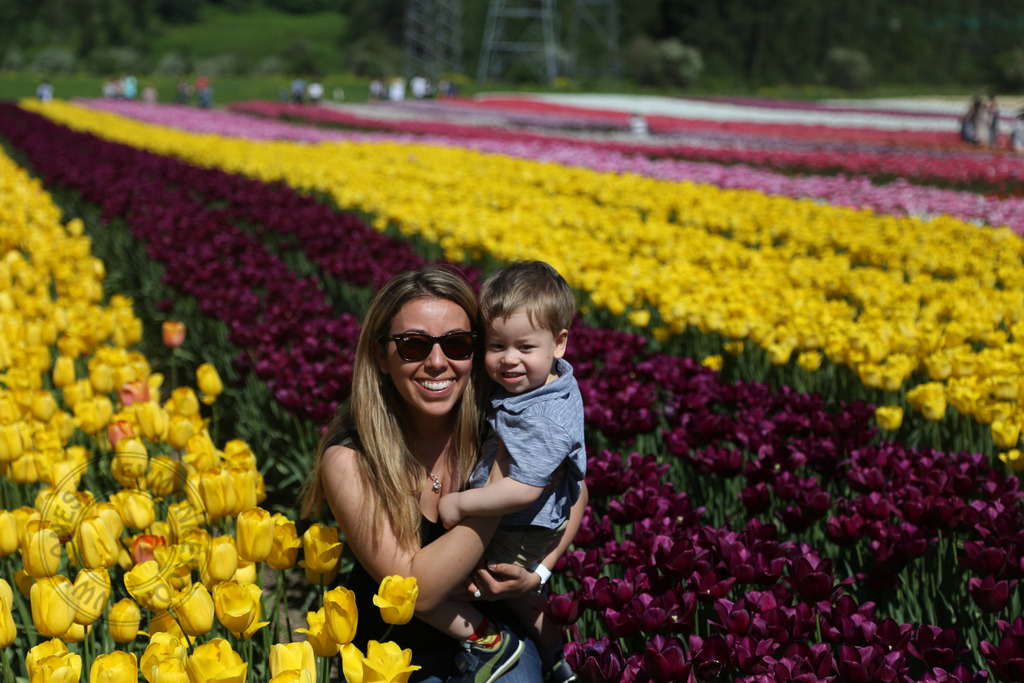 Abbotsford Tulip Festival