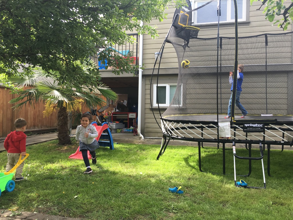 springfree trampoline