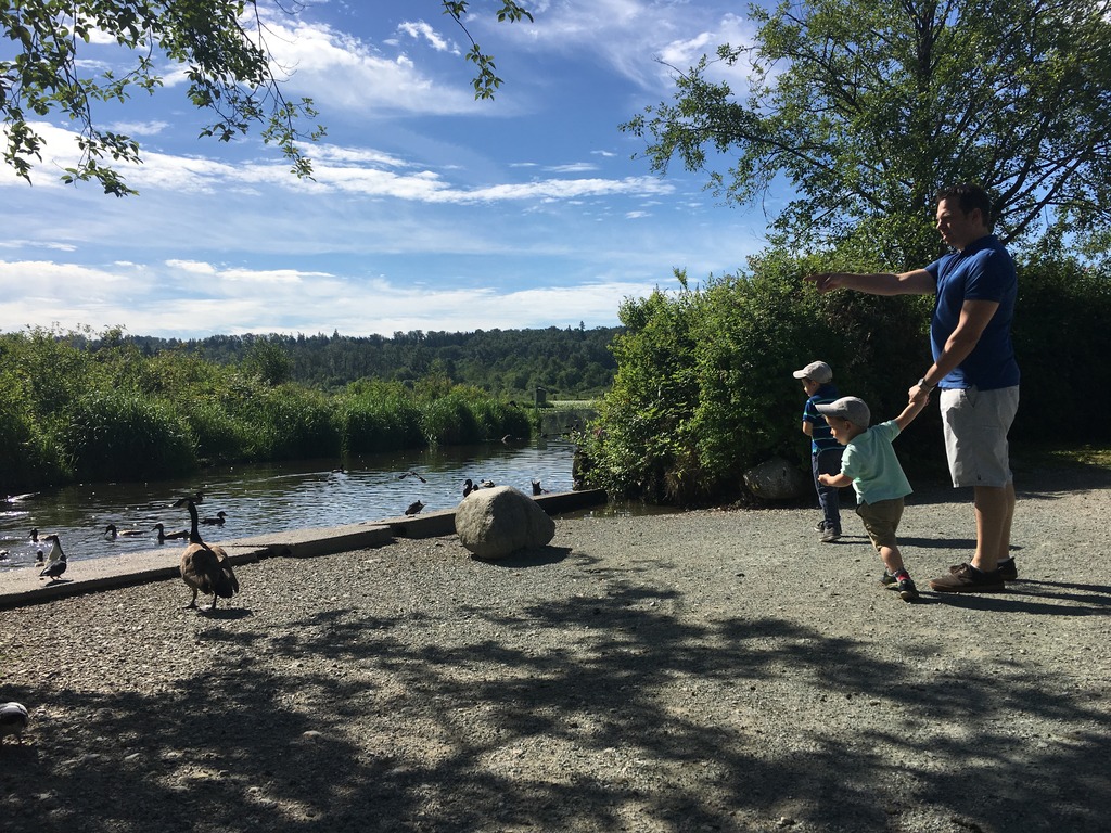 Exploring Burnaby Lake Park