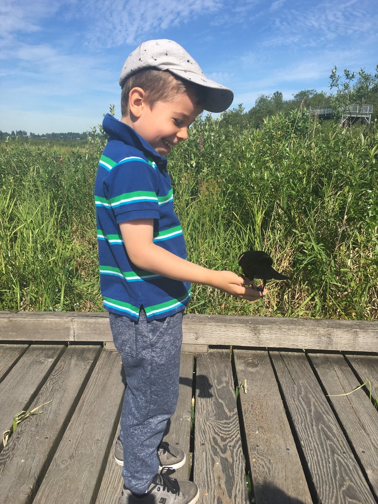 Exploring Burnaby Lake Park