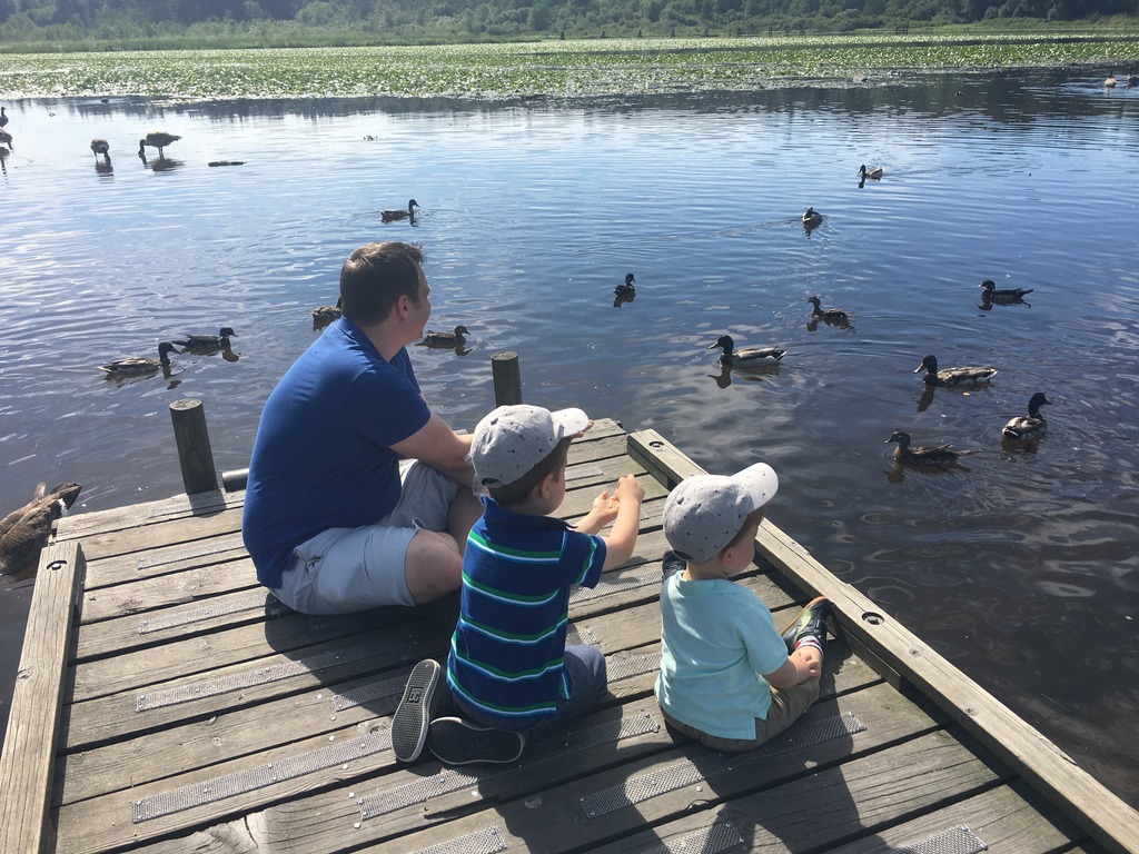 Exploring Burnaby Lake Park