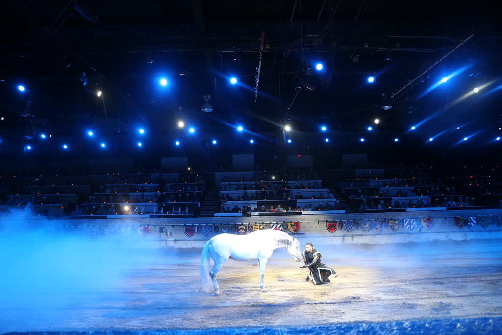 Medieval Times Dinner and Tournament in Toronto {Review}