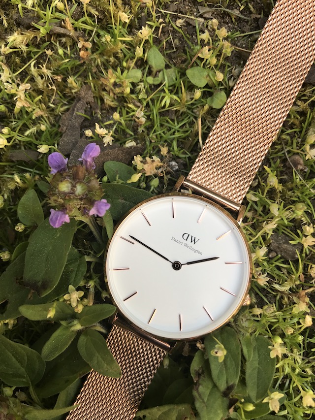 Daniel Wellington CLASSIC PETITE MELROS watch