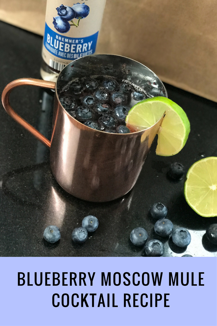 Blueberry Moscow Mule Cocktail Recipe