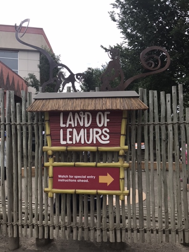 Visiting the Calgary Zoo and the New Land of Lemurs Habitat