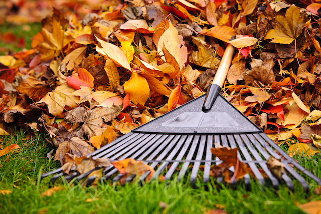 Tips For Fall Lawn Care In Preparation For Winter