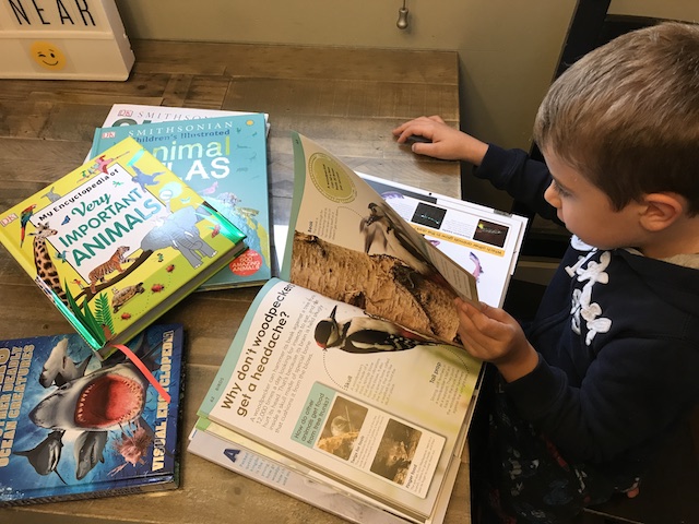 Wild Life and Animal Books for Your Home Library {Giveaway}