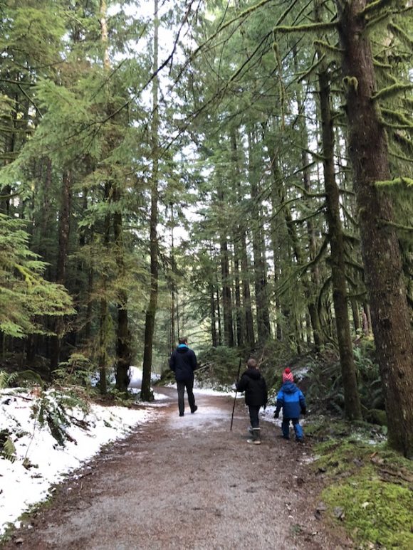 Exploring the Lynn Canyon Suspension Bridge and Park