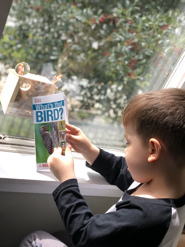 5 NEW Spring Book Recommendations For Your Kid's Home Library {Giveaway}