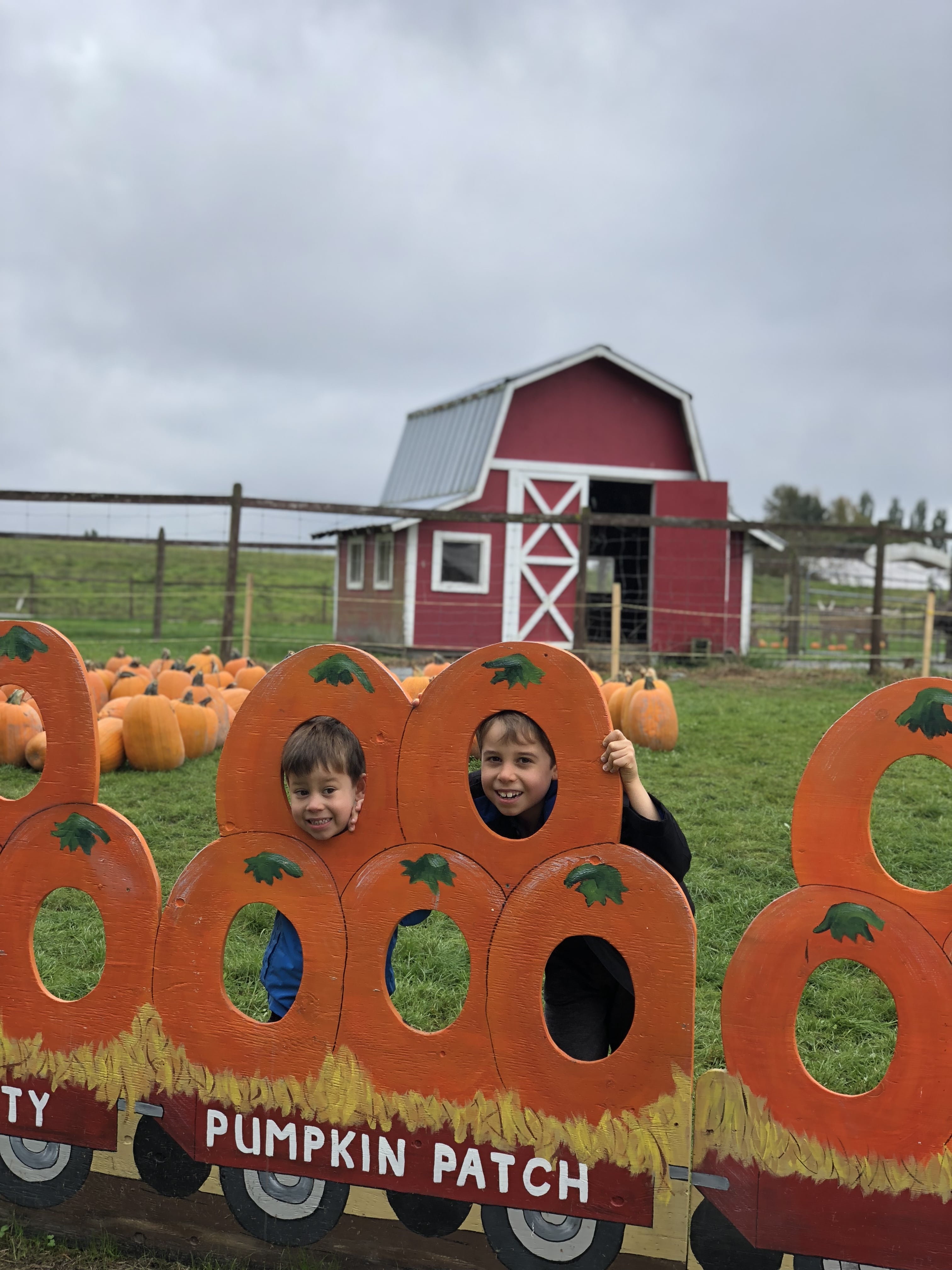 Our Yearly Visit to the Laity Pumpkin Patch in Maple Ridge, BC