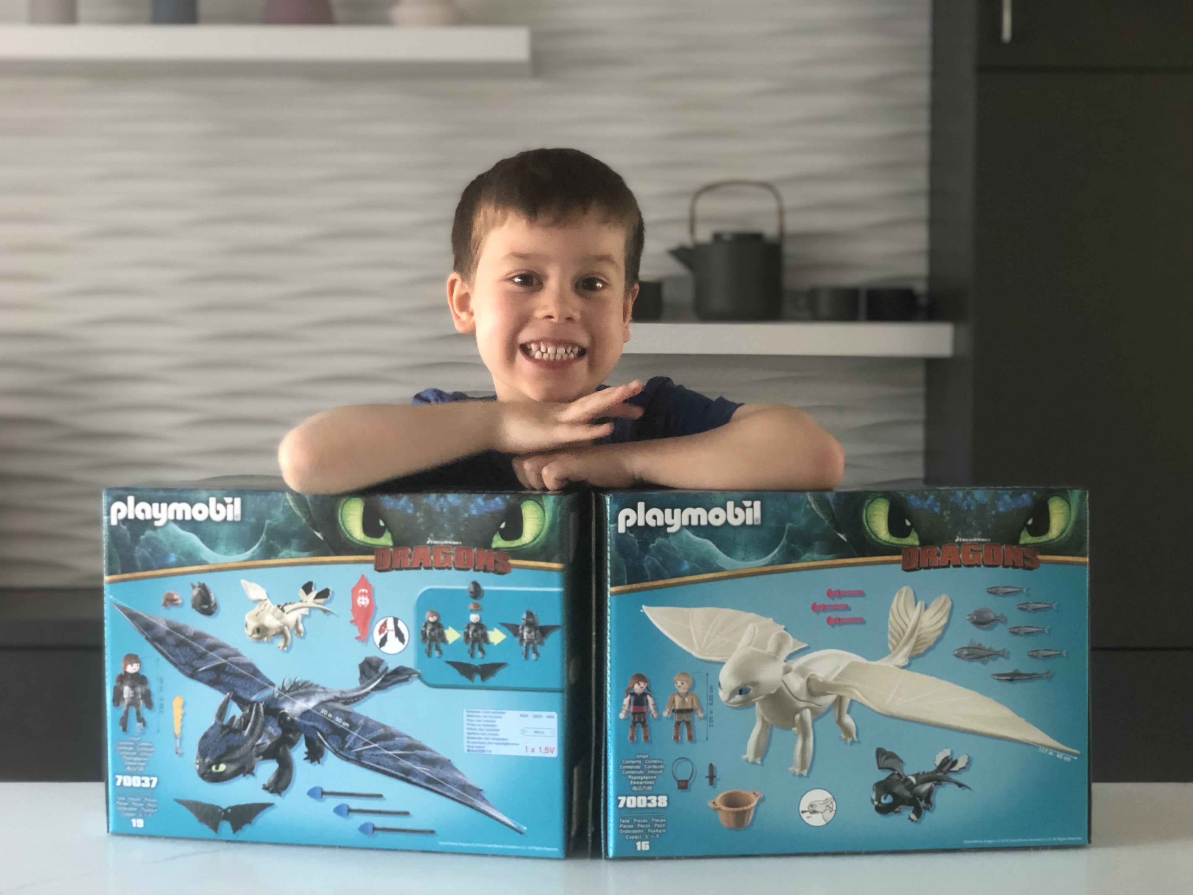 NEW Dragons III Playmobil Playsets {Giveaway}