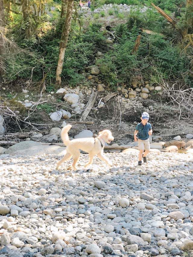 Hiking with Kids - Our Latest Favourite Trail in North Van