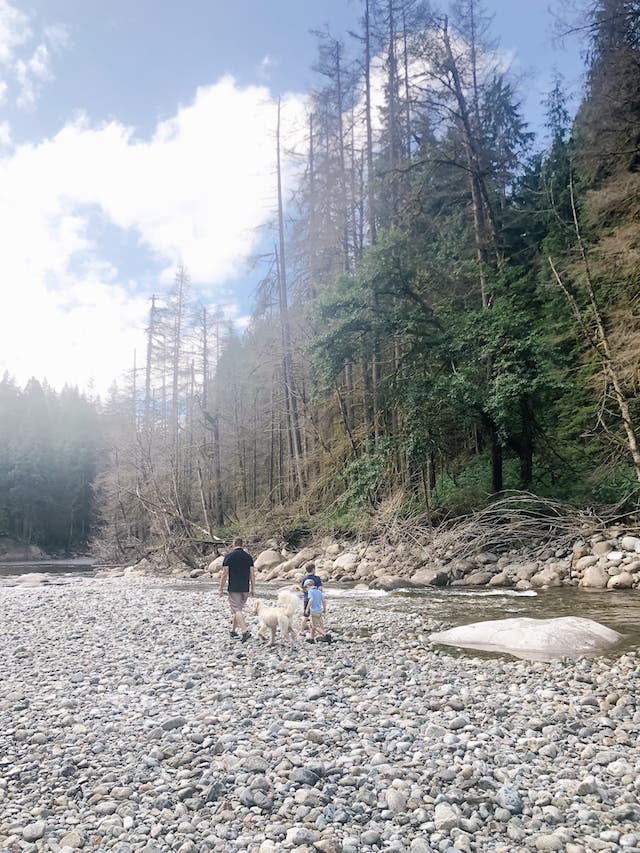 Hiking with Kids - Our Latest Favourite Trail in North Van