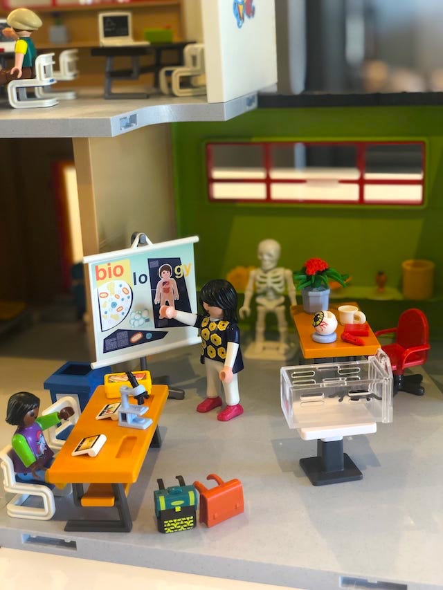 NEW Playmobil Furnished School Building Set Review