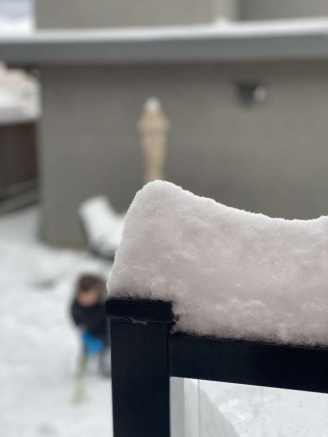 Vancouver Snow Storm January 2020