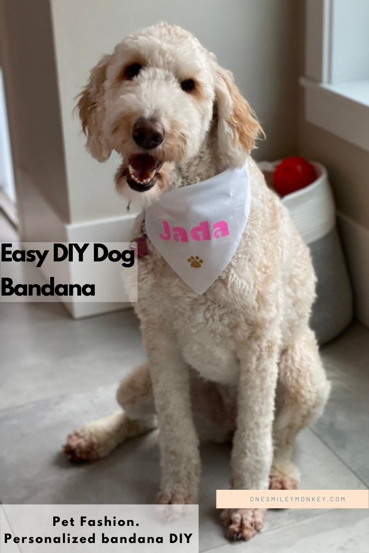 Pet Fashion, DIY Personalized Dog Bandana