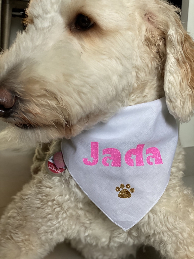 Pet Fashion, DIY Personalized Dog Bandana