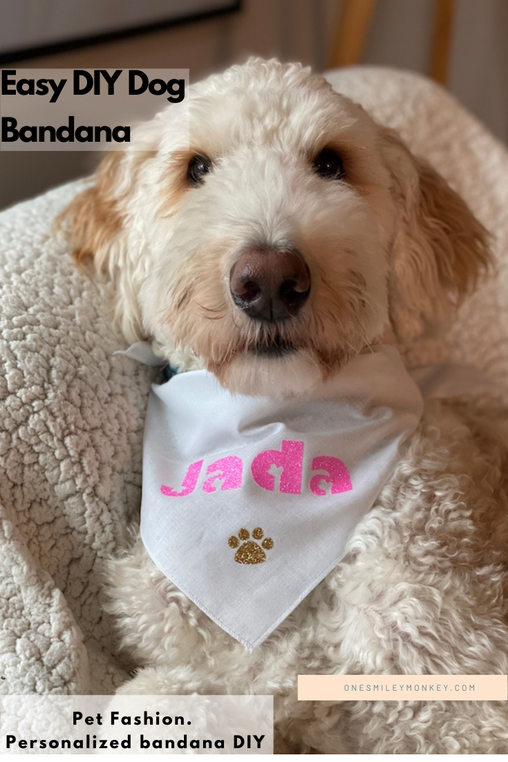 Pet Fashion, DIY Personalized Dog Bandana
