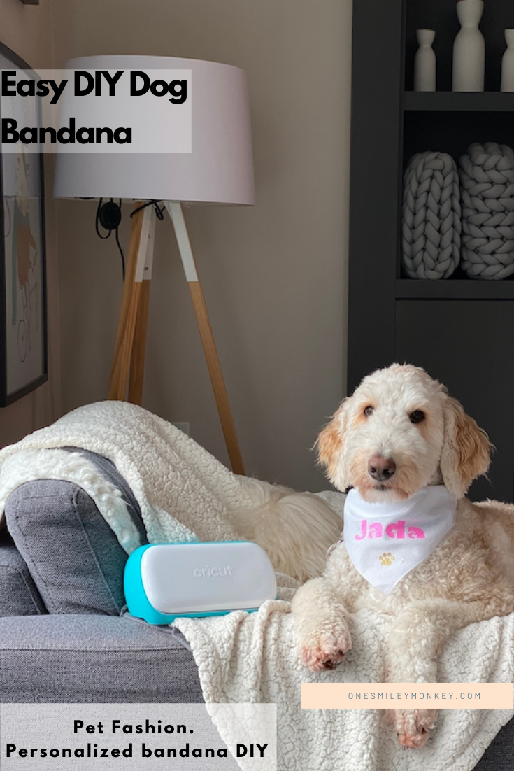 Pet Fashion, DIY Personalized Dog Bandana