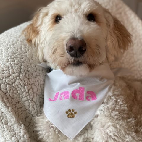 Pet Fashion, DIY Personalized Dog Bandana