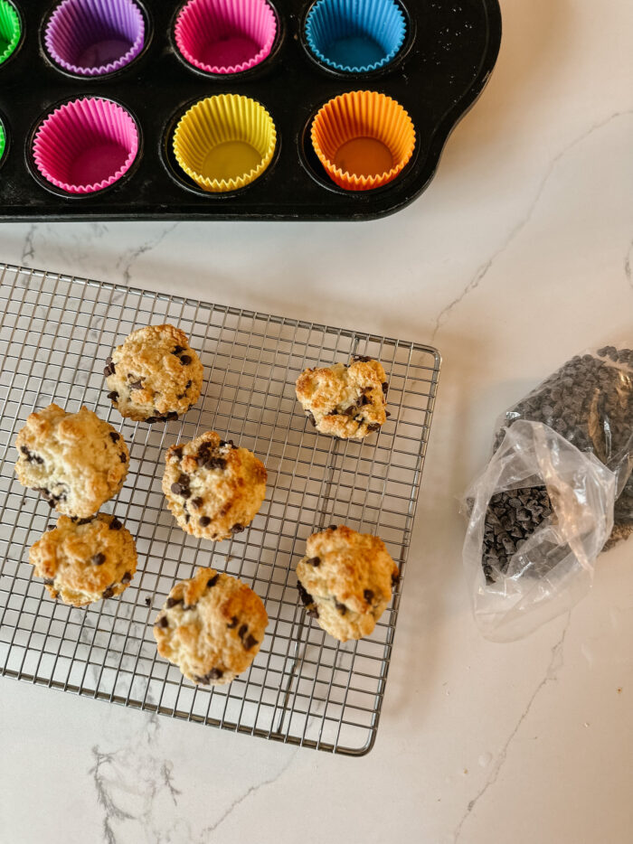 Delicious Coconut and Chocolate-Chip Biscuits {Recipe}