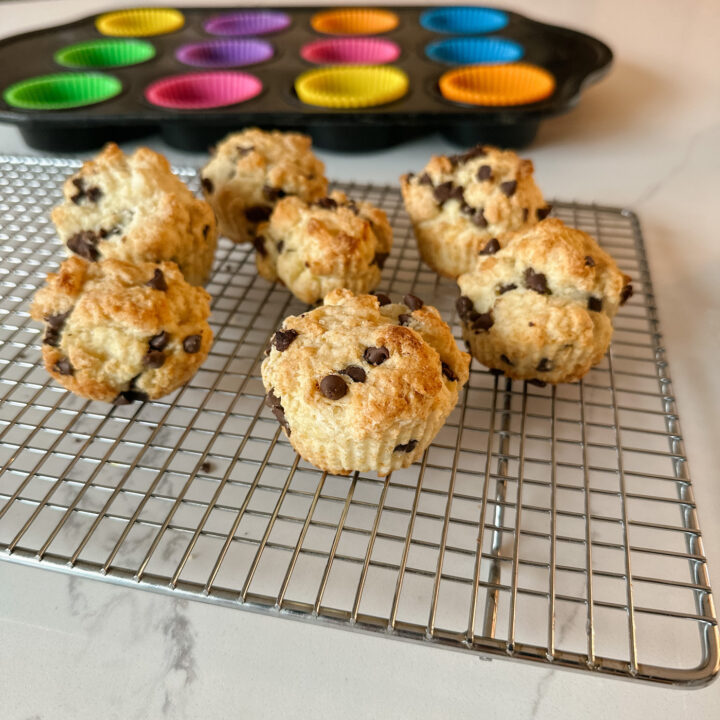 Delicious Coconut and Chocolate-Chip Biscuits {Recipe}