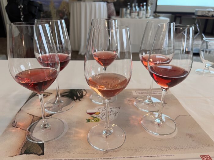 Beyond the Blush: Why Cerasuolo d’Abruzzo Rosé Deserves a Spot in Your Wine Rotation