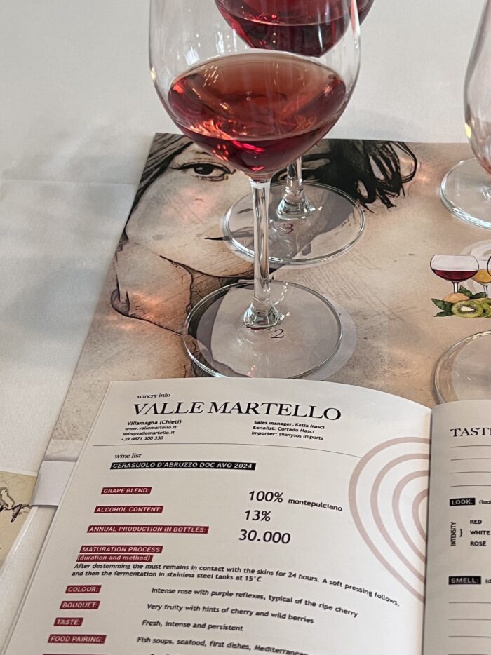 Beyond the Blush: Why Cerasuolo d’Abruzzo Rosé Deserves a Spot in Your Wine Rotation