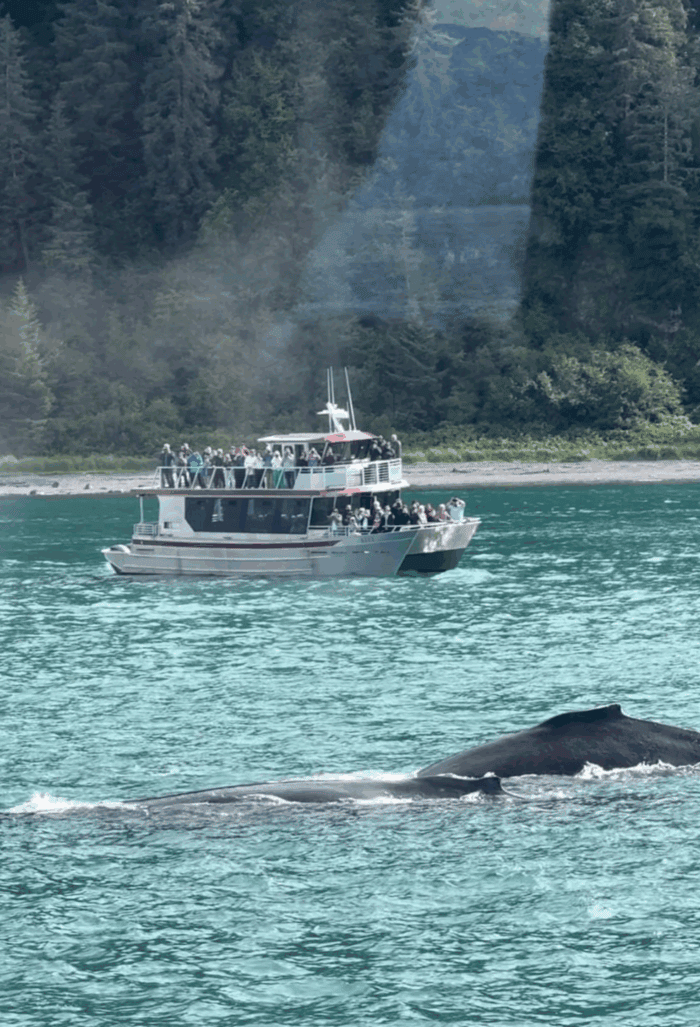 Disney Wonder Alaska Cruise from Vancouver: Everything You Need to Know