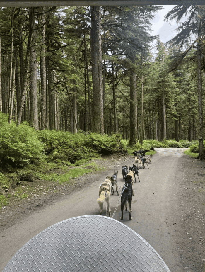 Disney Wonder Alaska Cruise from Vancouver: Everything You Need to Know